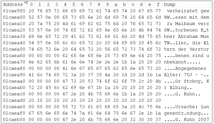 Hex-Editor